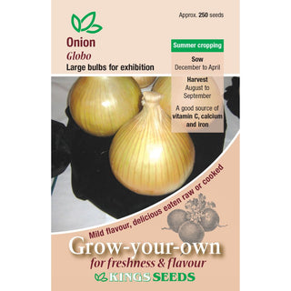 Kings Seeds Onion Globo