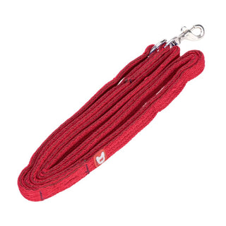 Digby & Fox Cushion Web Lead  2cm