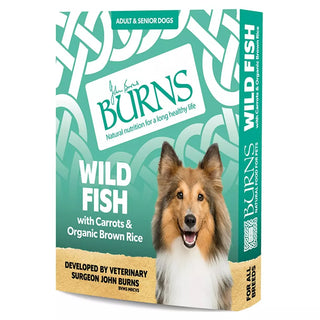 Burns Wet Food Wild Fish with Carrots & Brown Rice 395g