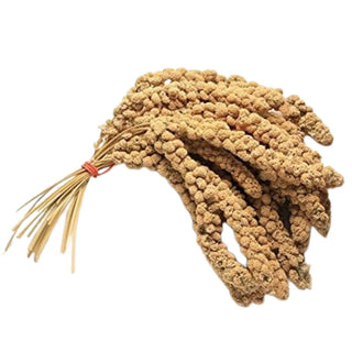 Zoar's Ark Millet Spray