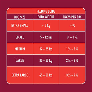 Nutriment Gently Steamed Recipe - Beef for Dogs 395g
