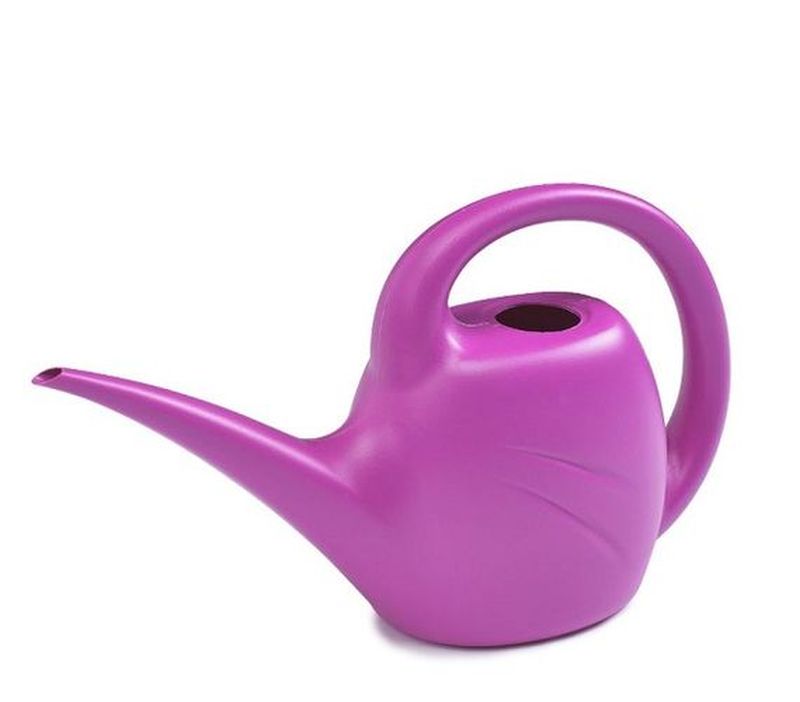 Whitefurze Indoor Watering Can Fuchsia 1.5l