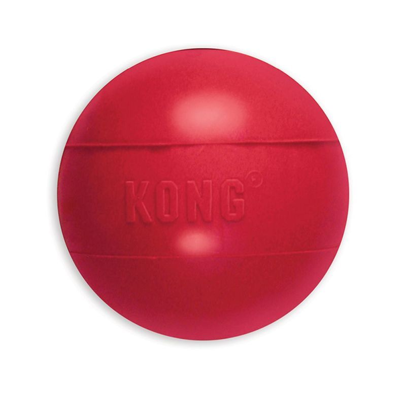 Kong Ball M-L