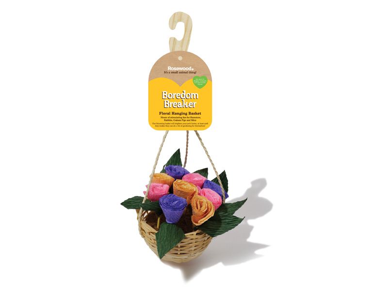 Rosewood Boredom Breaker Floral Hanging Basket