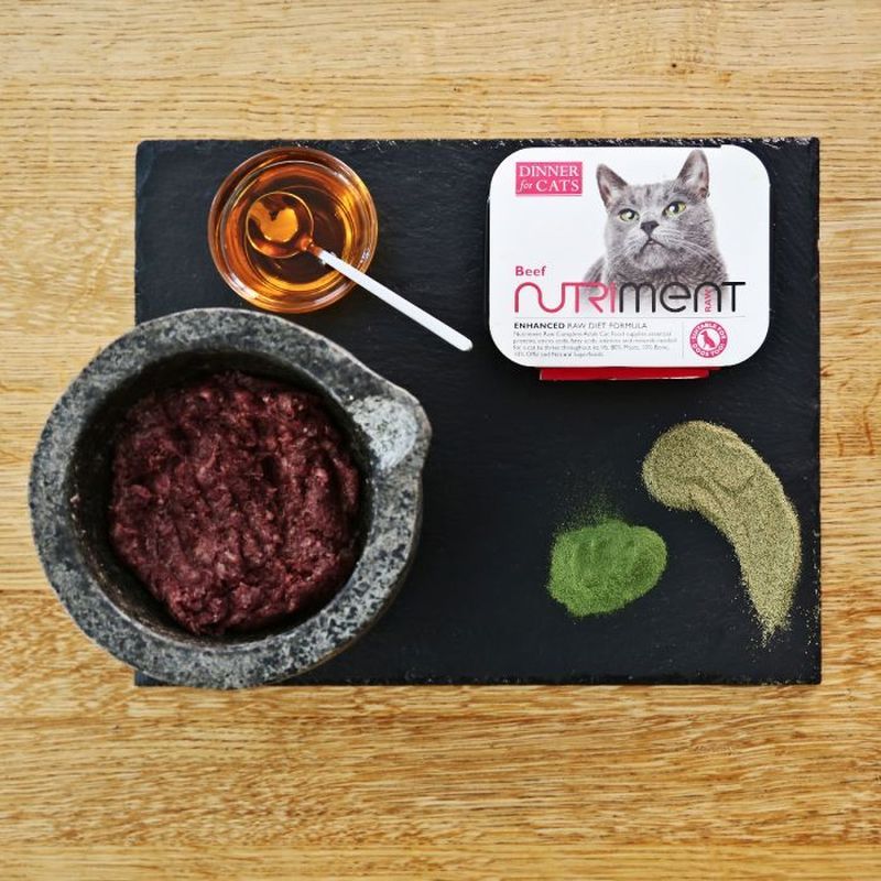 Nutriment Dinner For Cats Beef Tray 175g