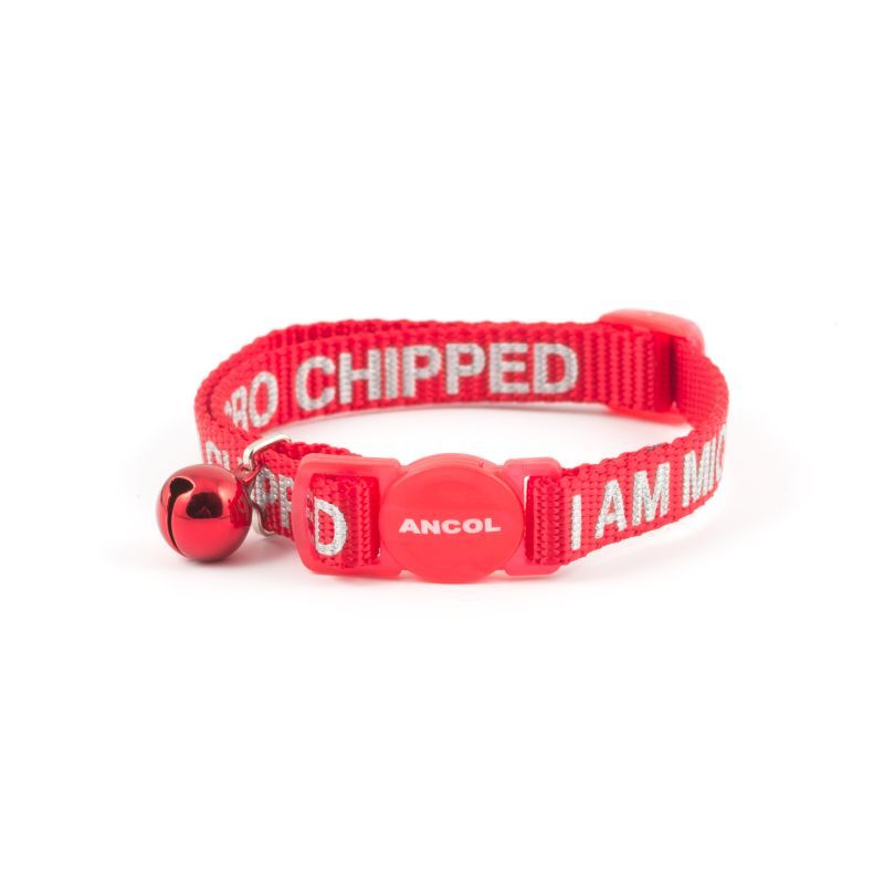 Ancol I Am Micro Chipped Safety Cat Collar