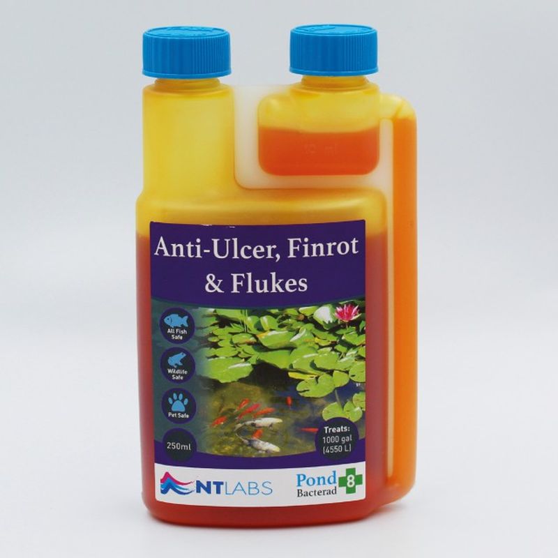 Nt Labs Bacterad - Anti-Ulcer Finrot & Fluke 250ml