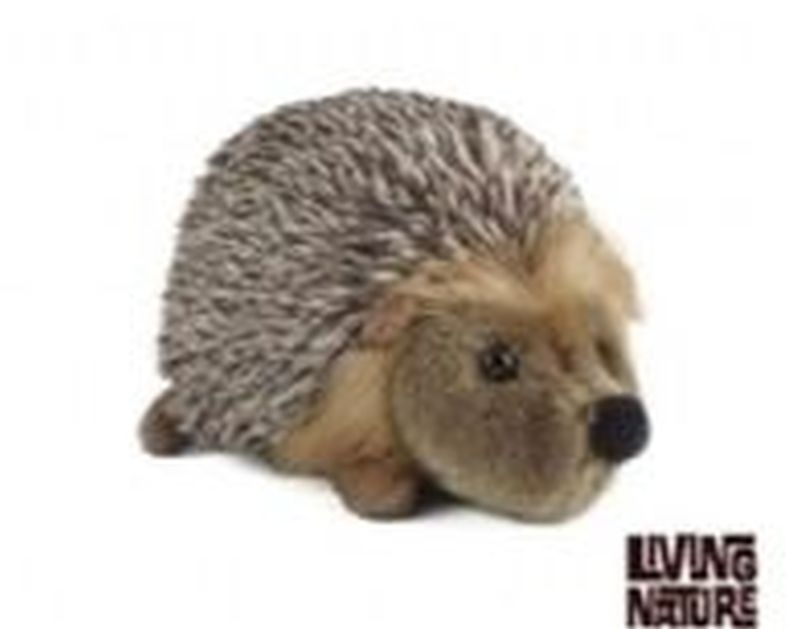 Living Nature Hedgehog Medium