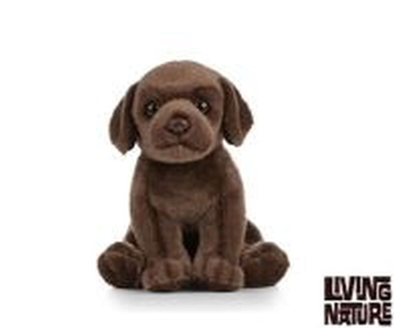 Living Nature Chocolate Lab Puppy